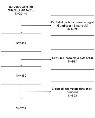 Association between systemic immunity-inflammation index and sex hormones in children and adolescents aged 6–19